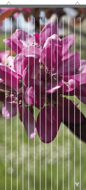Rideau à mouche imprimé Fleurs par mon-rideau-a-mouche.com
