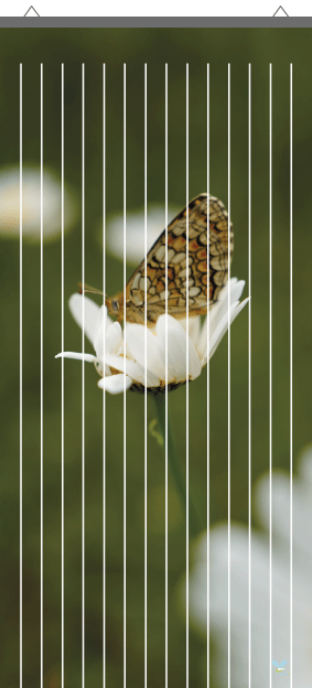 Rideau à mouche imprimé Papillon par mon-rideau-a-mouche.com